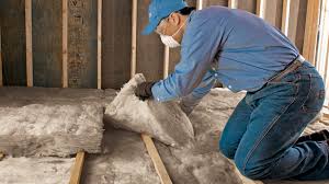 Best Attic Insulation Installation  in Lovelock, NV